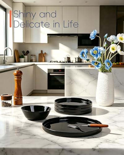 LaGlint 10.5 Inch Dinner Plate Set of 6, Black Opal Glass Plates - Image 4