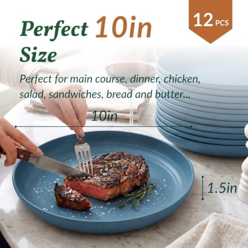 Homienly Large Dinner Plates 12 PCS Wheat Straw Plates for Bread & Butter 10 Inch Unbreakable Camping Plates for Salad, Steak, Microwave & Dishwasher Safe Serving Plates for Kitchen, Picnic, RV (Blue) - Image 2