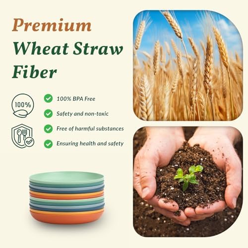 Homienly 12 PCS Unbreakable Wheat Straw Plates 9 Inch Reusable Plastic Plates for Kitchen Lightweight Camping Plates for Dessert, Bread & Butter Microwave & Dishwasher Safe Plates (Vibrant Colors) - Image 3