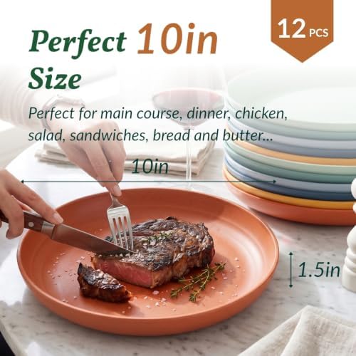 Homienly Unbreakable Deep Plates Set of 12 Wheat Straw Large Plates 10 Inch Microwave Safe Salad Plates Set for Bread & Butter, Burgers Plastic Plates Alternative for Picnic, Party (Vibrant Colors) - Image 2