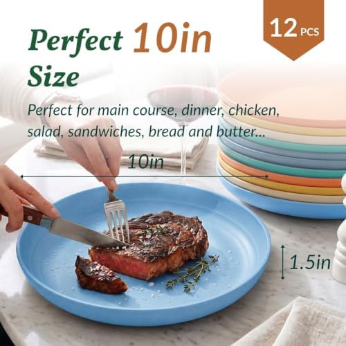 Homienly Wheat Straw Deep Plates Set of 12 Large Salad Plates 10 Inch Lightweight & Unbreakable Plastic Plates Microwave & Dishwasher Safe Plates for Bread & Butter, Party, Camping (Multi) - Image 2