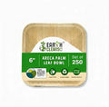 6 Inch Square Compostable Biryani Palm Leaf Extra Deep Bowls | Pack of 250 | Eco Friendly Disposable Areca Leaf Bowls | Biodegradable Heavy Duty for Rice Curry Parties Catering Events
