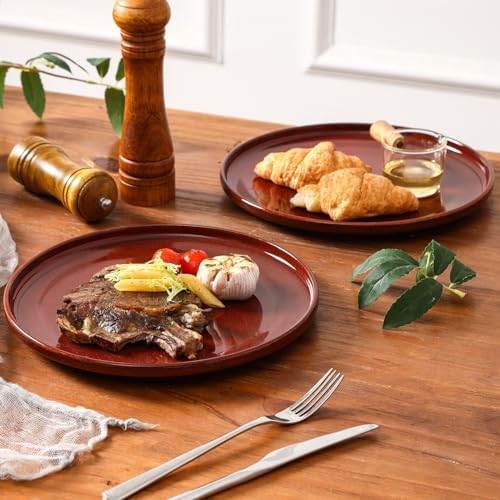 vicrays Ceramic Dinner Plates Set - Porcelain 10 Inch Flat Steak Pasta Pizza Plate Home Party Restaurant Plate Scratch Resistant Microwave Oven and Dishwasher Safe Set of 6 Cherry Red - Image 3