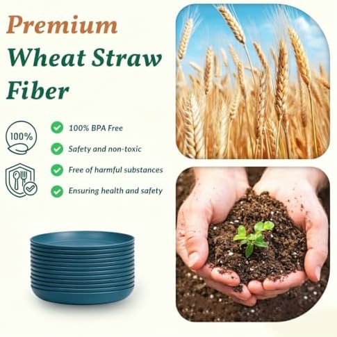 Homienly Large Dinner Plates 12 PCS Wheat Straw Plates for Bread & Butter 10 Inch Unbreakable Camping Plates for Salad, Steak, Microwave & Dishwasher Safe Serving Plates for Kitchen, Picnic, RV (Blue) - Image 3