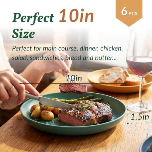 Homienly Deep Plate Set 6 PCS Reusable Dinner Plates Alternative for Plastic Plate Microwave and Dishwasher Safe Wheat Straw Plates for Kitchen Unbreakable 10 Inch Salad Plates for Outdoor (Multi) - Image 2