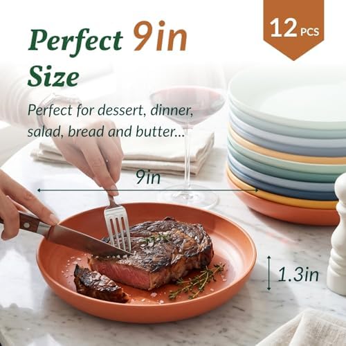 Homienly 12 PCS Unbreakable Wheat Straw Plates 9 Inch Reusable Plastic Plates for Kitchen Lightweight Camping Plates for Dessert, Bread & Butter Microwave & Dishwasher Safe Plates (Vibrant Colors) - Image 2