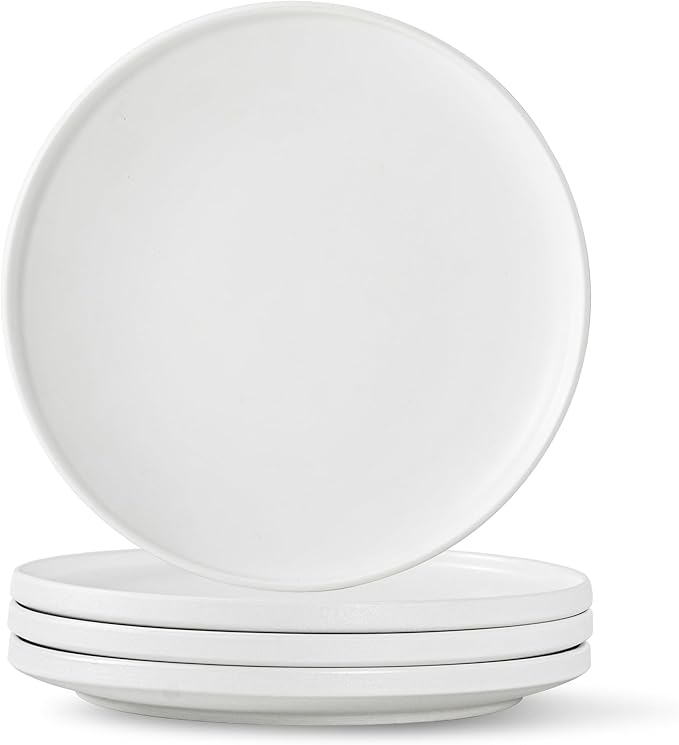 Stoneware Dinner Plates Set of 4, 10.25 Inch Plates for Steak, Pasta, Ceramic Plates Sets, Microwave Safe, Dishwasher Safe, Versatile for All Seasons, Matte White