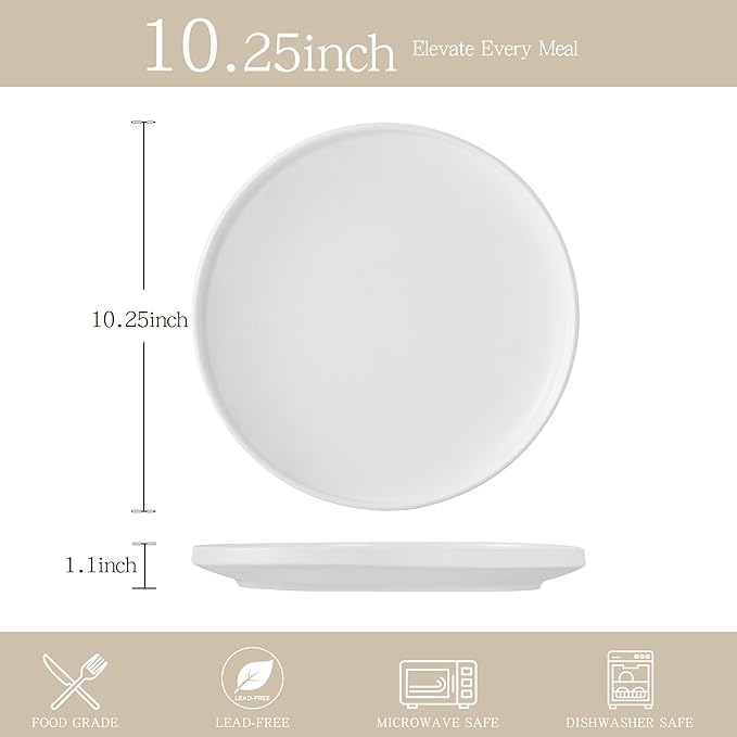 Stoneware Dinner Plates Set of 4, 10.25 Inch Plates for Steak, Pasta, Ceramic Plates Sets, Microwave Safe, Dishwasher Safe, Versatile for All Seasons, Matte White