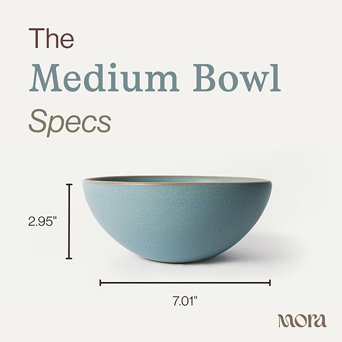 MORA Medium Bowls Set of 4, 28oz Ceramic Pottery Everyday Bowls - Microwave, Oven and Dishwasher Safe - Iris