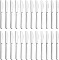 24 Pieces Knives Set - 9 Inches Dinner Knives, Butter Knife, Food Grade Stainless Steel Table Knife Set, Dishwasher Safe & Mirror Polished, Knife Silverware for Home/Restaurant/Kitchen