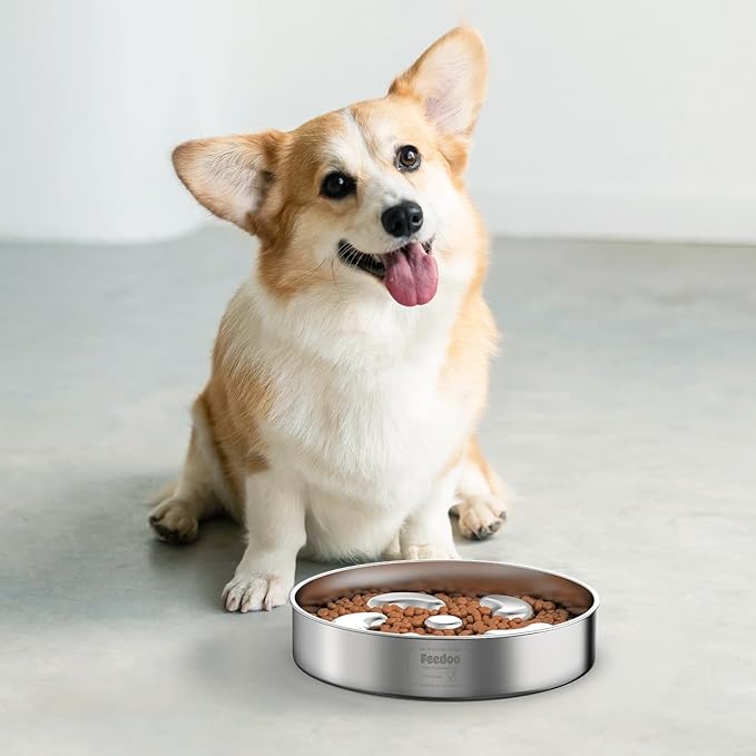 Slow Feeder Dog Bowl-2Cups for Medium Breeds, Double-Layer Stainless Steel, Heavy-Duty with Non-Slip Rubber Base, Puzzle Maze Bowl to Slow Down Eating [2Pack]