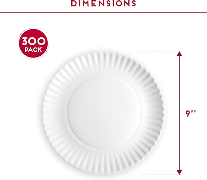 9-Inch Disposable Paper Plates - 300 Count - Bulk Pack of Uncoated Paper Plates for Everyday Use - Dinnerware for Meals, Parties And Picnics