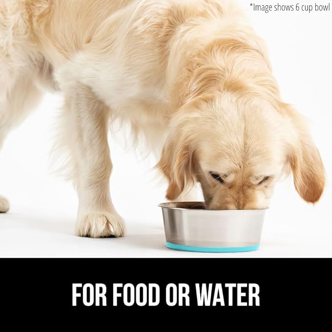 GORILLA GRIP Dog Bowl, Holds 8 Cups (64 fl oz), Heavy Duty Metal Food and Water Bowl for Feeding Dogs and Cats, Dishwasher Safe, Rust Resistant Stainless Steel, BPA Free Rubber Base, Turquoise
