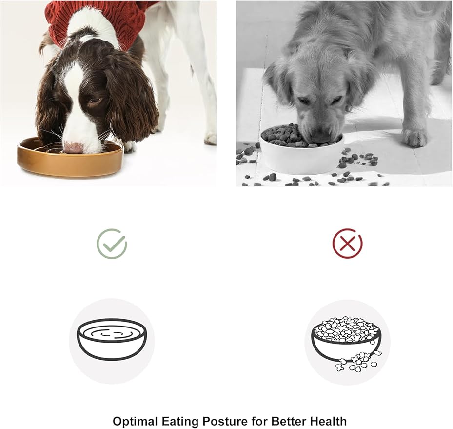 Ceramic Maze Dog Slow Feeder with Non-Slip Silicone Rim – Heavy-Duty Stoneware Bowl with Puzzle Pattern for Bloating & Obesity Prevention (Purple-M)