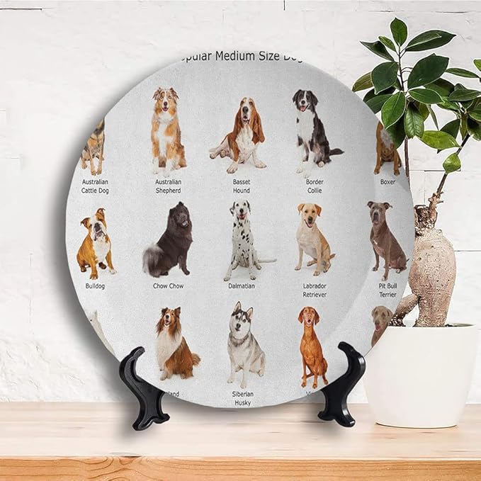 Ceramic Plates, Dog Decorative Ceramic Plates, AGroup of Different Puppy Breeds Family Type Species, 6 Inch, for Dining, Parties, Wedding, Multi