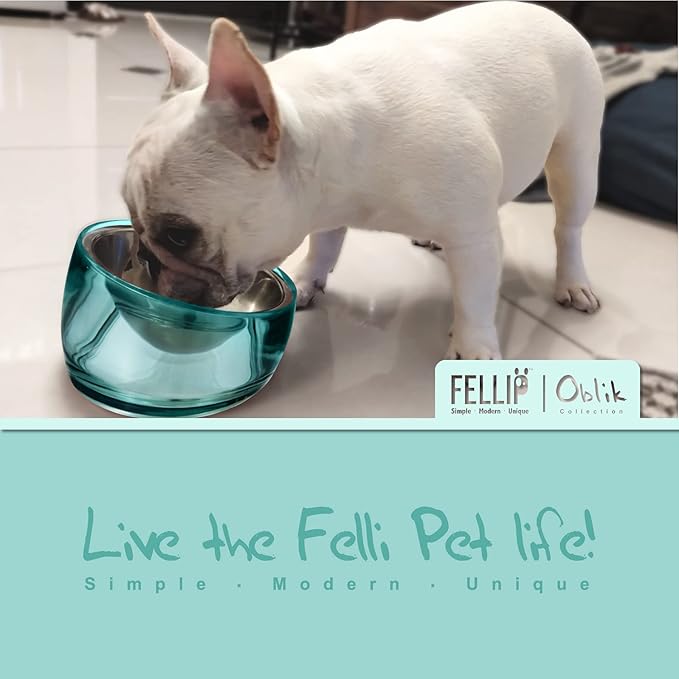 Felli Pet Oblik Acrylic Raised Dog Food Water Bowl Stainless Steel Slanted Oval Dish for Short Leg Puppy & Small Medium Pet, Elevated Tilted Metal Feeder (Classic, 1.5 Cups Oval Dish)