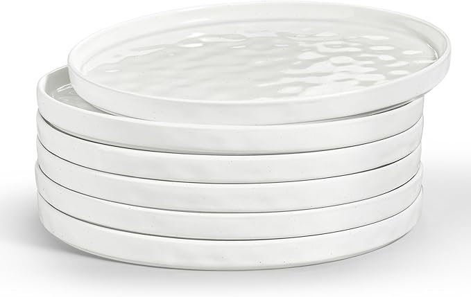 LIANYU Dinner Plates Set of 6, 10.2 Inch Large Ceramic Dessert Plate for Kitchen, Porcelain Serving Dishes for Salad Appetizer Cake Bread, Scratch Resistant, Microwave & Dishwasher Safe, Polar White