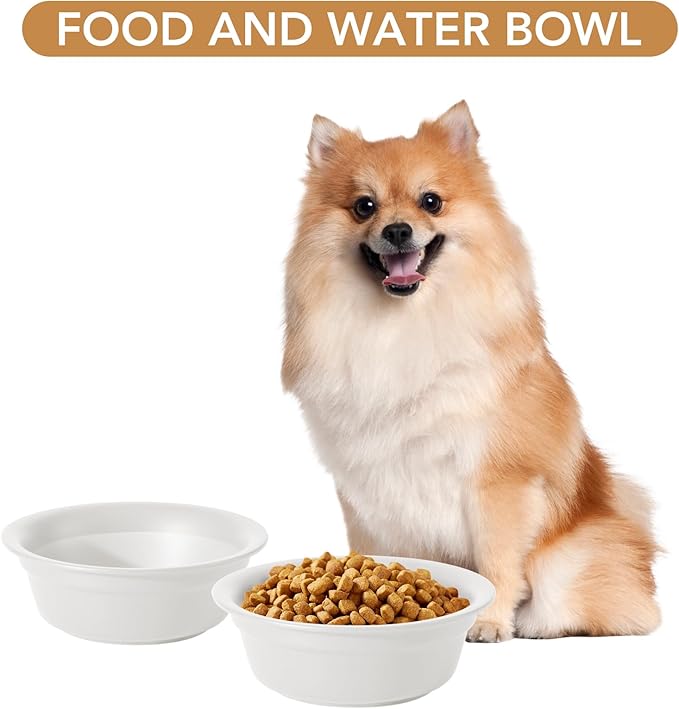 Ceramic 6.3inch Set of 2 Dog Bowls, 2pcs Basic 1.5 Cup Food or 15 oz Water Dishes for Small Dogs, Wide Opening Rounded Edge (2 Bowls, Matt White)