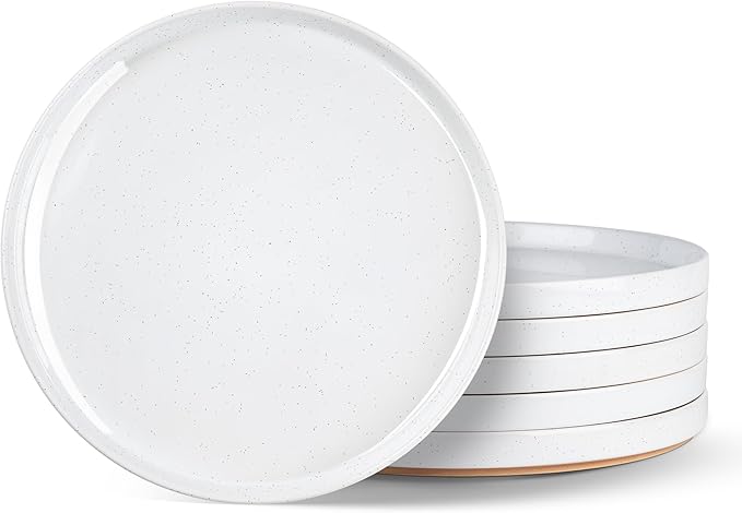 AmorArc Ceramic Dinner Plates Set of 6, 10.25 Inch Stoneware Plates for Kitchen,Modern Flat Dinnerware Dishes Set,Microwave& Dishwasher Safe, Scratch Resistant-White