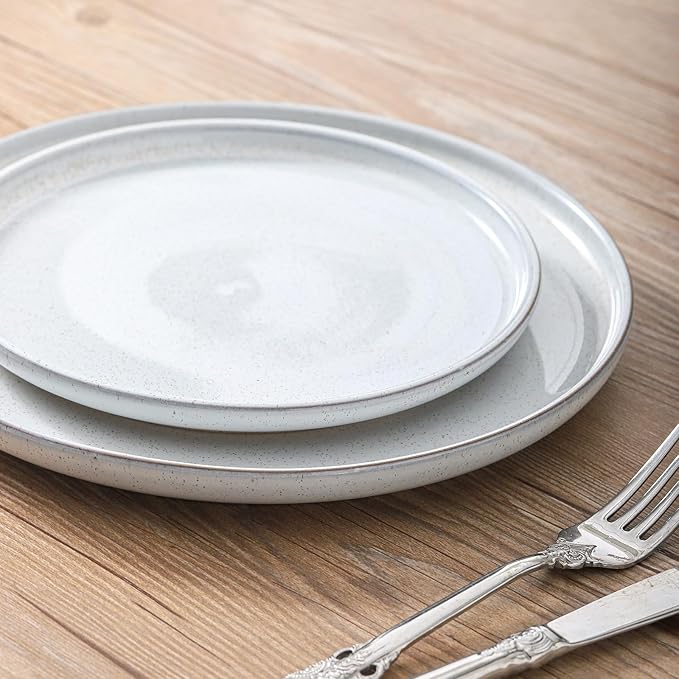 Ceramic Dinner Plates Set of 4,Stoneware 10 Inch,Microwave,Dishwasher and Oven Safe,Porcelain Dessert Plates for Pasta,Salad and Steak,Dishes Set for Kitchen,Scratch Resistant,White