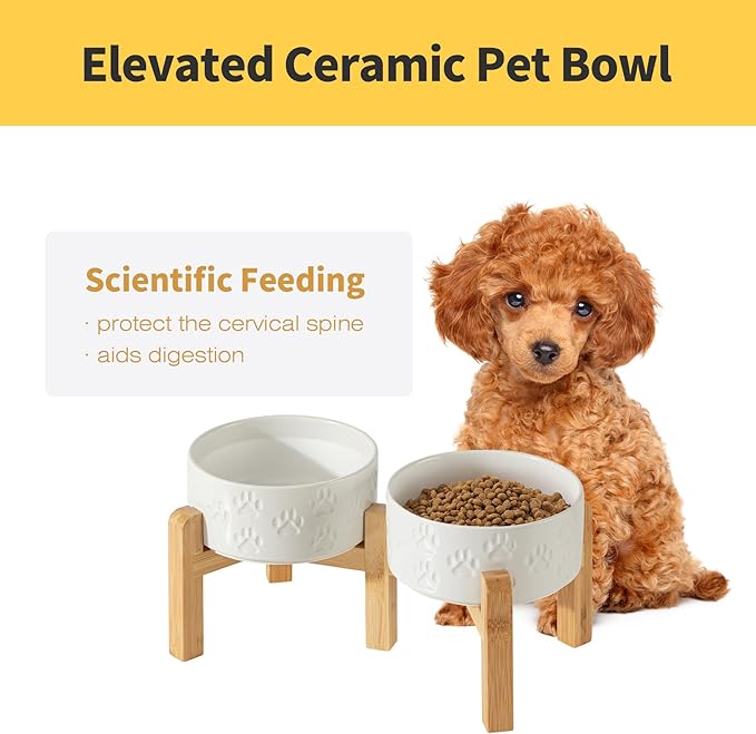 Elevated Ceramic Dog Bowl Set, 6" Dog Bowls with Dual Fixed Heights Stand, 3.5 Cup Food and Water Bowls for Small Breed Dogs, Microwave Safe (Double Bowls + Stand - White, 6 inch)