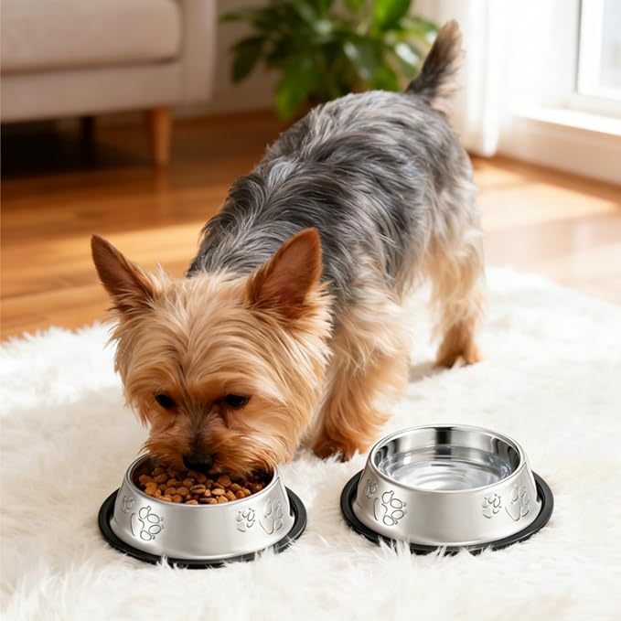 10 Pack Stainless Steel Cat Bowl, 7 Oz Mini Shallow Puppy Pet Bowls with Rubber Base, Stackable Dog Food Water Feeding Dish for Indoor Kitten Small Dog (XS)