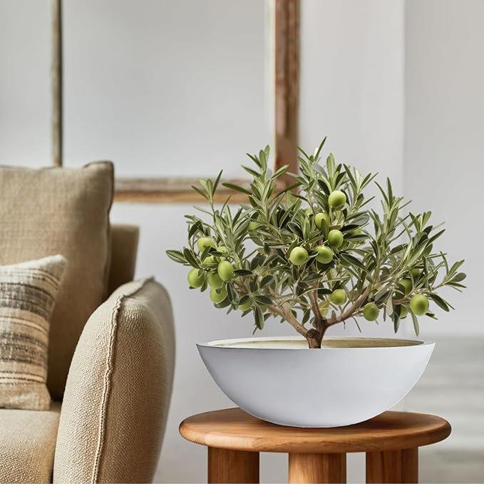 7.7" H x 22" D Round Bowl Fiberstone Planter for Succulent and Lotus with Drainage Hole, Smooth Finishes, Weather Resistant, Included 2 Extra Coco Mats (White, 19.9" Pot Opening)