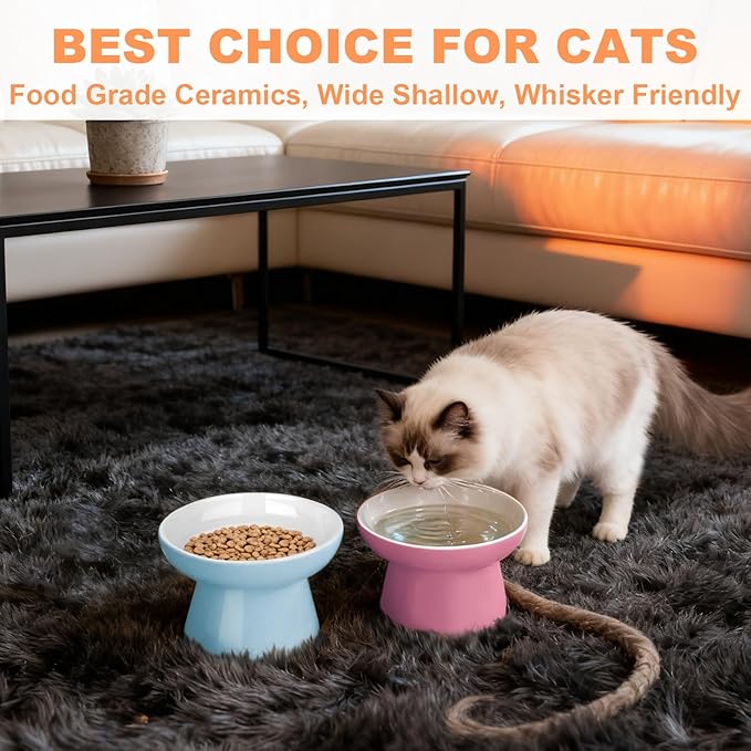 Elevated Cat Food Bowls 2 Pack,Ceramic Raised Cat Bowls with Non-Slip Base,Whisker Friendly Shallow Design for Dry & Wet Food,Anti-Vomiting Cat Feeder,Dishwasher & Microwave Safe (Pink&Blue)