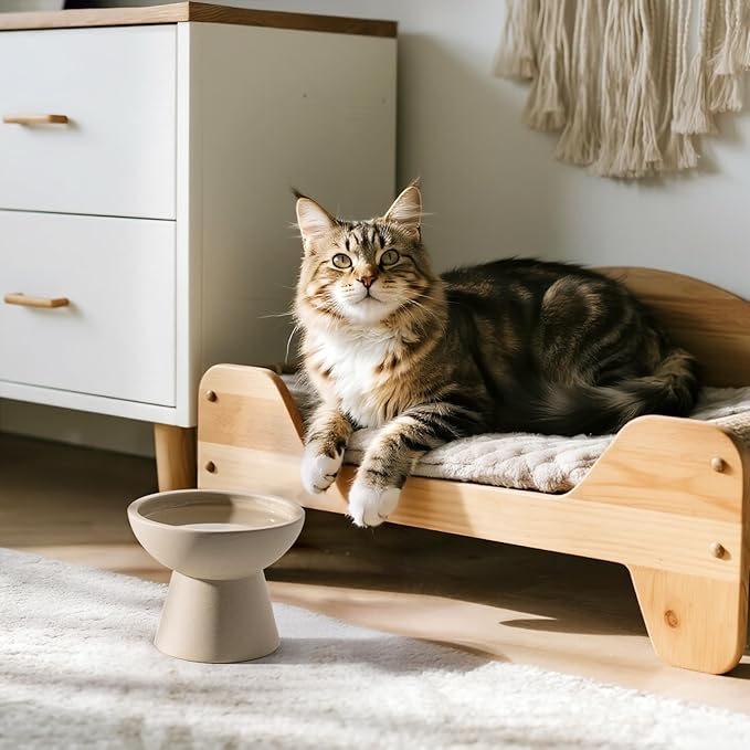 Extra Wide Elevated Ceramic Cat Water Bowl - 6.2" Deeper Dish for Whisker Fatigue Relief, 5" Height for Easy Feeding, Lead & Cadmium Free, Durable Raised Cat Bowls, Pottery Clay (Not Glazed)
