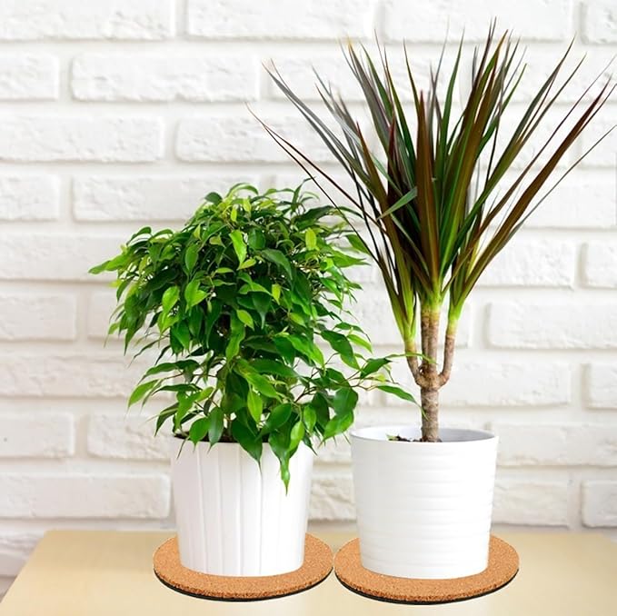 2 Pieces Cork Plant Coasters, 12 Inch Cork Plant Mats, Cork Coaster for Planters, Large Plant Coasters for House Plants Indoors (Nude & Black)