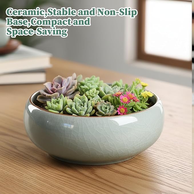 Decorative Bowls 6 inch Ceramic Lotus Bowl Planter with Flat Base Glazed Shallow Planter for Home Office Tabletop Decor