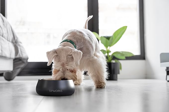 Sipworks Stainless Steel Dog Bowl – 32oz Weighted Metal Food and Water Bowls for Dogs and Cats with Non-Slip Base - Pet Bowls for All Breeds Sizes for Travel & Outdoor Play | Slate