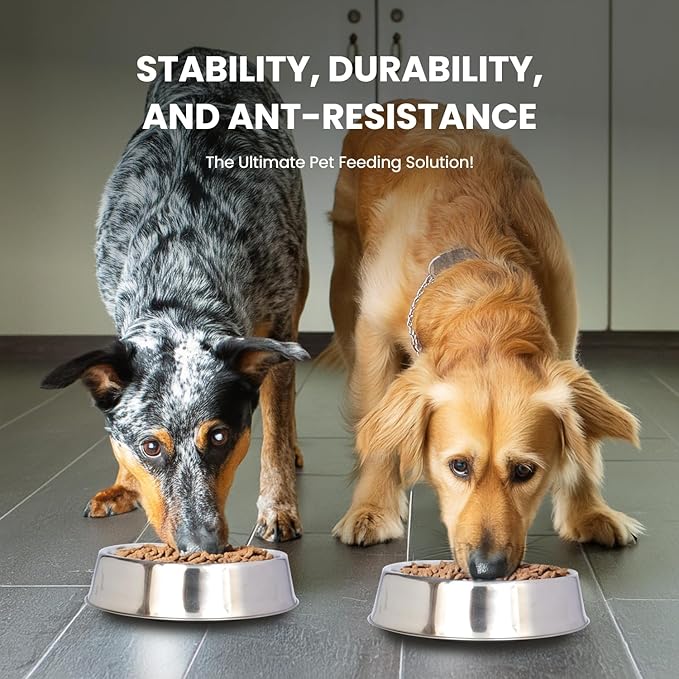 Iconic Pet 64 oz/ 8 Cup Stainless Steel Non Skid Pet Food/Water Bowl - Noise Free Ant Resistant Dog/Cat Feeding Bowl with Unique Design & Rubber Base Makes It an Elegant Ant Proof Dish