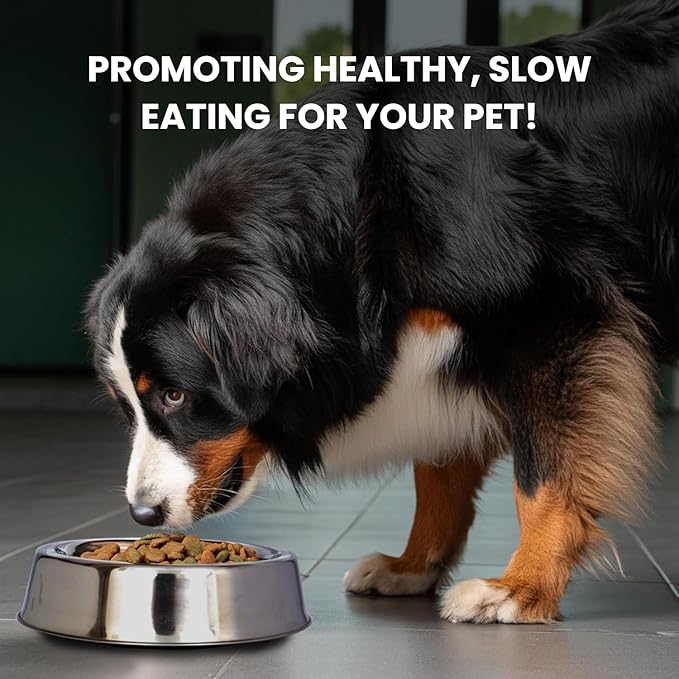 Iconic Pet 64 oz/ 8 Cup Stainless Steel Non Skid Pet Food/Water Bowl - Noise Free Ant Resistant Dog/Cat Feeding Bowl with Unique Design & Rubber Base Makes It an Elegant Ant Proof Dish