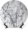 Ceramic Plates, Abstract Decorative Ceramic Plates, Murky Marble Rock Motifs Dynamic Fractal, 10 Inch, Household Plates Decorative, Grey White