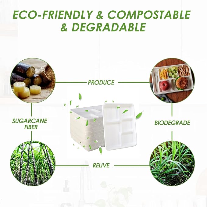 Vplus 500 Pack 5 Compartment Plates, 100% Compostable Paper Plate, 10.25x8.5 inch Disposable School Lunch Trays, Eco-Friendly Bagasse Plates for School Lunch, Buffet, and Party, Perfect for Kids