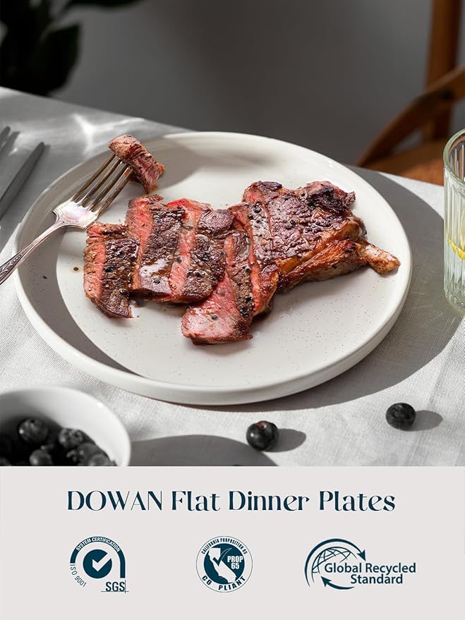 DOWAN 10.5" Large Dinner Plates Set of 6, Ceramic Salad Plate, Microwave, Oven & Dishwasher Safe, Moon-White Design Perfect for Party Dessert, Wedding Appetizer, Birthday, Mothers Day Gifts
