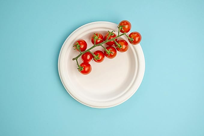 7” Compostable Plates, 125-Pack | Biodegradable Sugarcane | Sturdy, Microwave-Safe Disposable Plates for Parties & Events