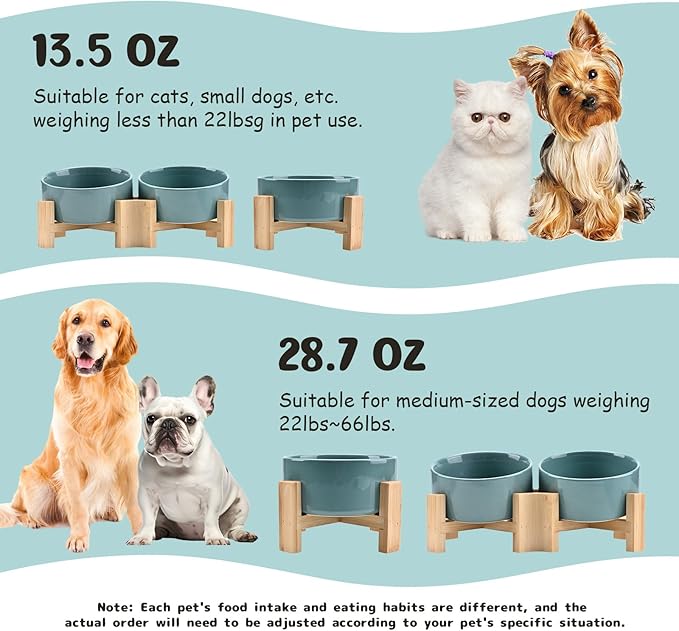 SPUNKYJUNKY 15° Slanted Ceramic Dog and Cat Bowl with Wooden Stand, Tilted Bulldog Food and Water Bowl No Slip Non-Spill for Cats Medium Dogs Big Face Pets 28.7 OZ (3.6 Cups, Light Green × 2)