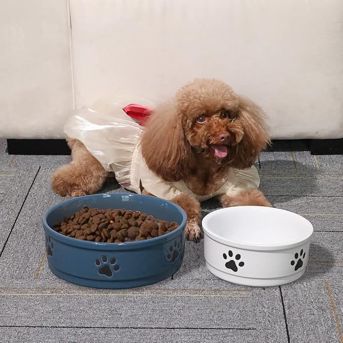 Sweejar Ceramic Dog Bowls with Paw Pattern, Dog Food Dish for Medium Dogs, Porcelain Pet Bowl for Water 35 Fl Oz (Fog Blue)