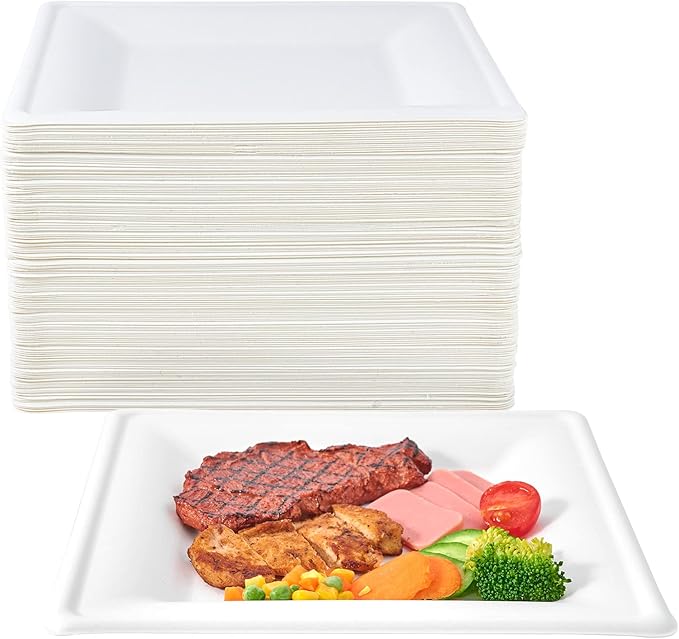 ECOLipak 150 Pieces Compostable Square Paper Plates, 10 inch Disposable Plates Square, Eco-friendly Biodegradable Sugarcane Bagasse Plates for Party Dinner Birthday