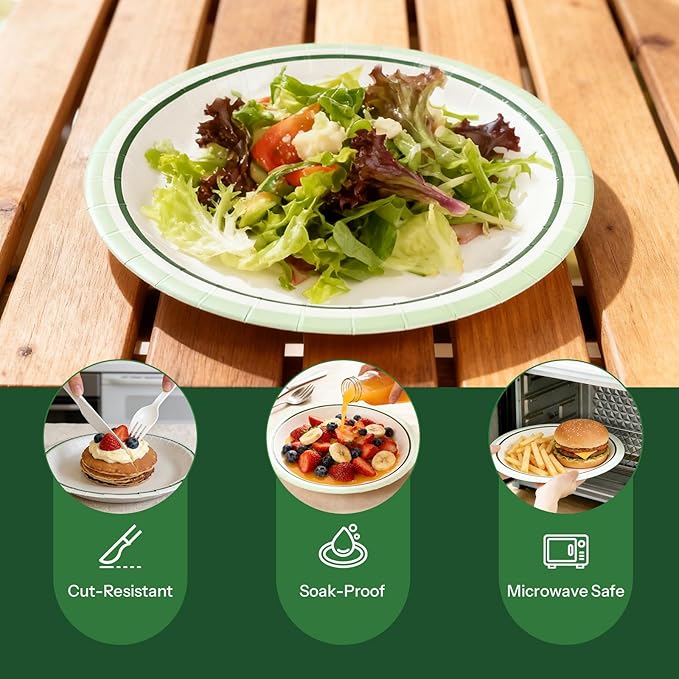 10''9'' Compostable Paper Plates With Green Circle Rims