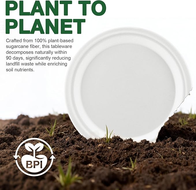 Compostable Paper Plates 10 inch 144 Count Disposable Heavy Duty Large Party Plates Bulk for Dinner Appetizer Dessert Cake Birthday Holiday Party Supplies White