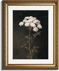 InSimSea Gold Picture Framed Wall Art, Living Room Vintage Dark Flower Wall Decor, Moody Floral Botanical Canvas Print Art, Home Farmhouse Decor, Antique Paintings with Frame 13x16inch