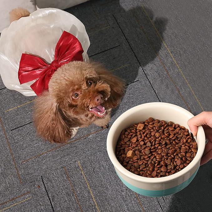 Sweejar Dog Bowl, Ceramic Dog Food Dish for Medium Dogs and Cat, Heavy Duty Porcelain Pet Bowl for Canned Food and Water 38 Fl Oz （White）
