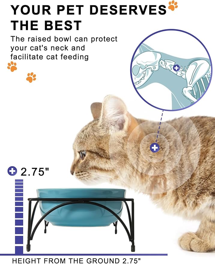 Y YHY Ceramic Raised Pet Bowls 12 oz Capacity 4.8” Height Sturdy Metal Stand, Turquoise