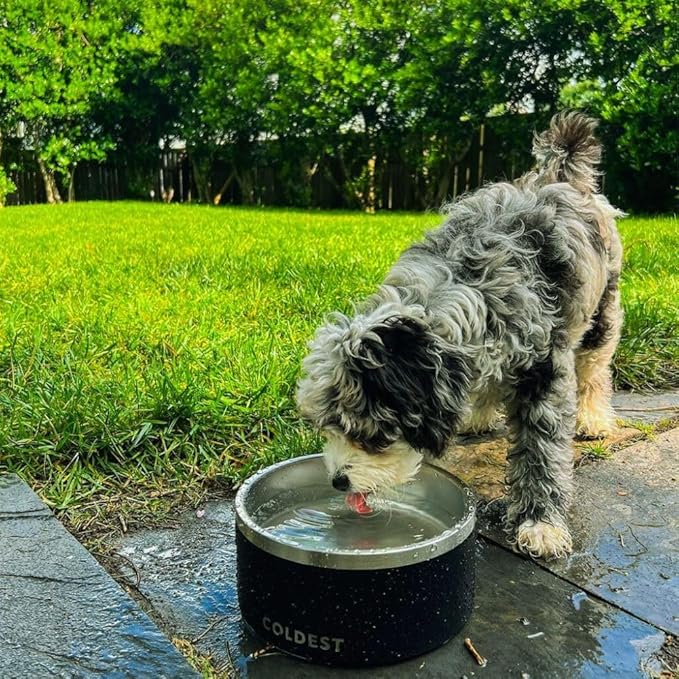 Coldest Dog Bowl - Anti Rust Metal, Non Slip, 3 Layers Insulated Stainless Steel Dog Bowls - Spill Proof & Heavy Duty - Water Bowl for Dogs, Cats & Pets, Dish Washer Safe (64 oz, Carrara Marble)