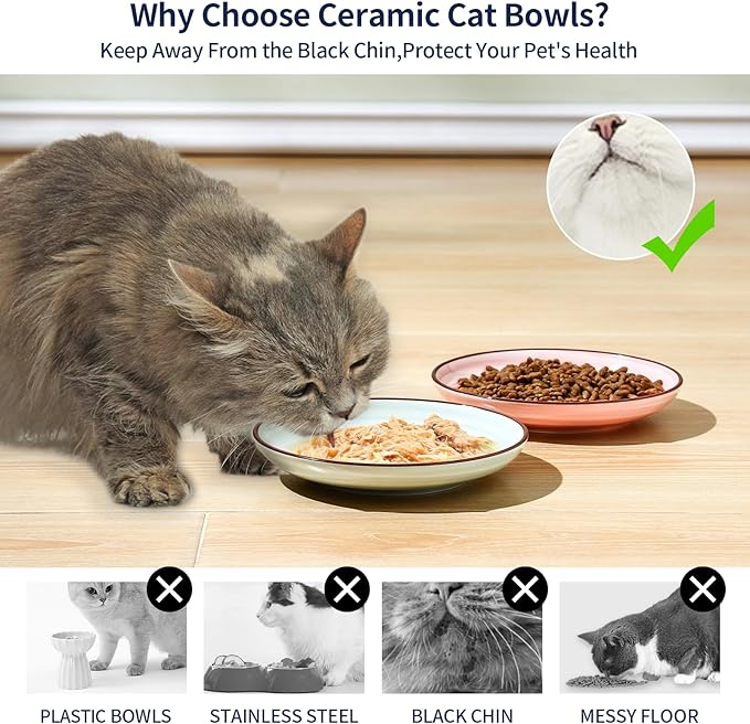 Selamica Ceramic Cat Bowls, 6 Inch Cat Food Bowl Whisker Friendly, Shallow Wide Kitten Plates for Food and Water, Set of 4, Gradient Colors