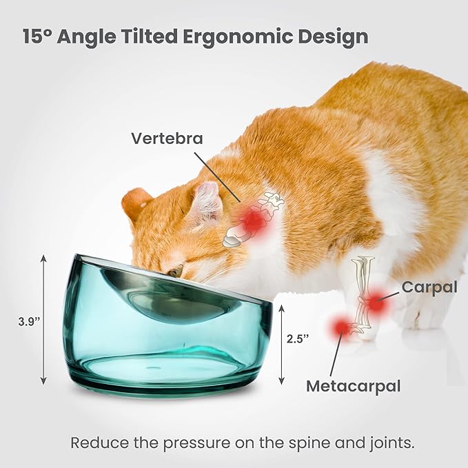 Felli Oblik Elevated Cat Bowl Removable Stainless Steel Wide Dish for Dry Wet Food Feeding & Dishwasher Clean, Slanted Whisker Fatigue Friendly Metal Plate (Classic, 0.5 Cups Shallow Dish)