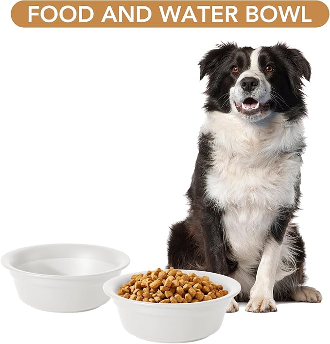 Ceramic 7.1inch Set of 2 Dog Bowls for Medium Dogs, 2pcs Basic 2.5 Cup Food or 24 oz Water Dishes for Replacement, Wide Opening Rounded Edge(2 Bowls, Matt White)